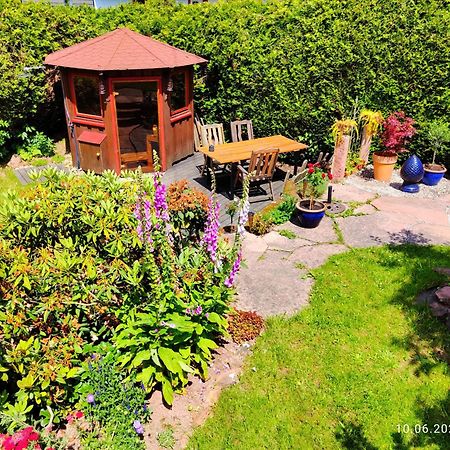 Ferienhaus Marre - Mit Grill, Feuerstelle Und Gartensauna 瓦尔德布伦 外观 照片