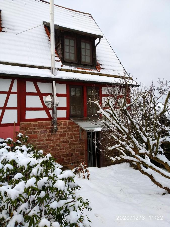 Ferienhaus Marre - Mit Grill, Feuerstelle Und Gartensauna 瓦尔德布伦 外观 照片