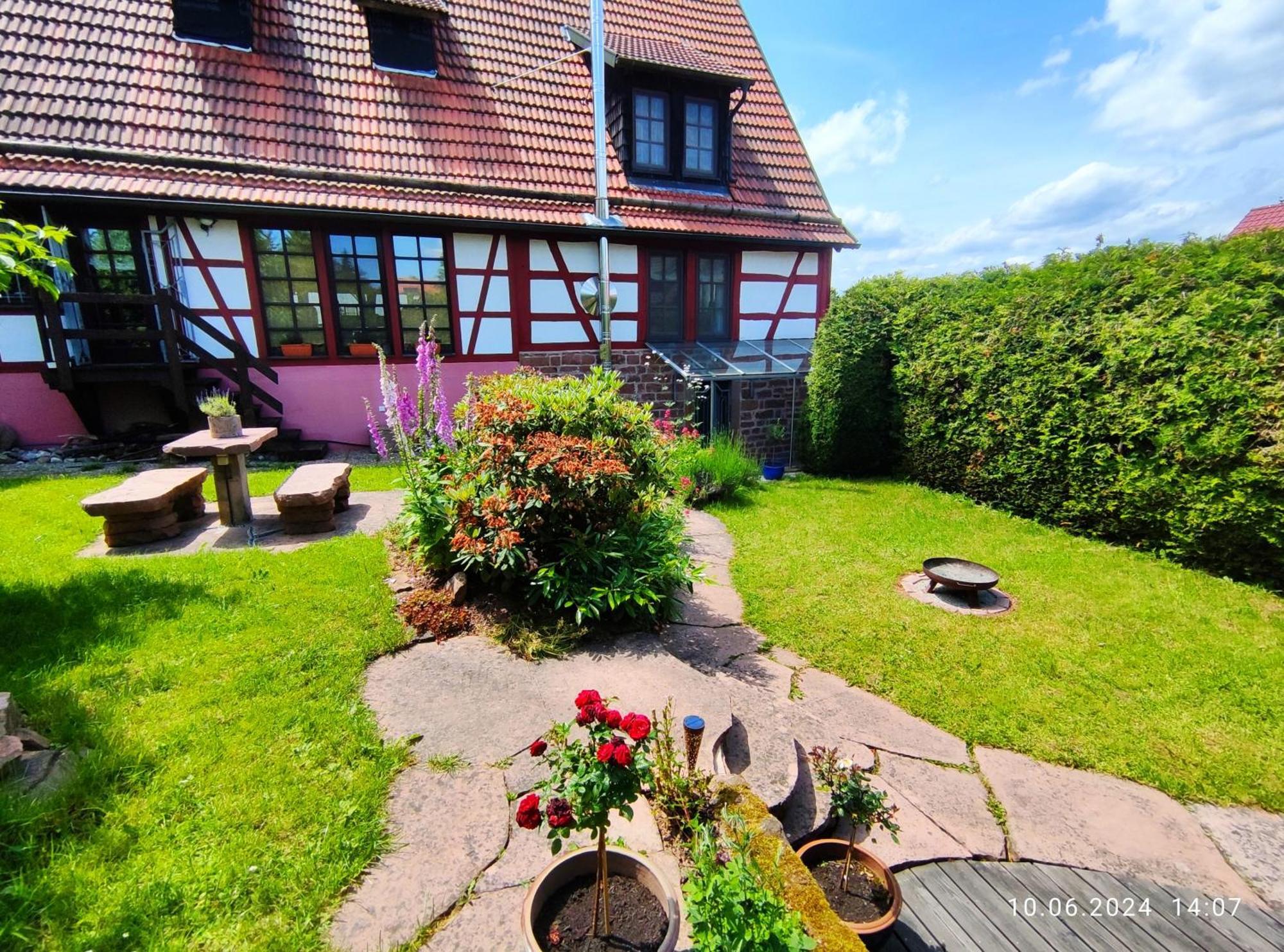 Ferienhaus Marre - Mit Grill, Feuerstelle Und Gartensauna 瓦尔德布伦 外观 照片